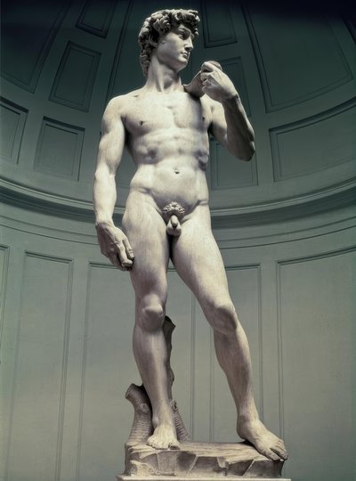 David by Michelangelo Buonarroti